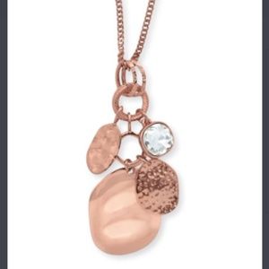 Premier Designs Modern Luxe Necklace